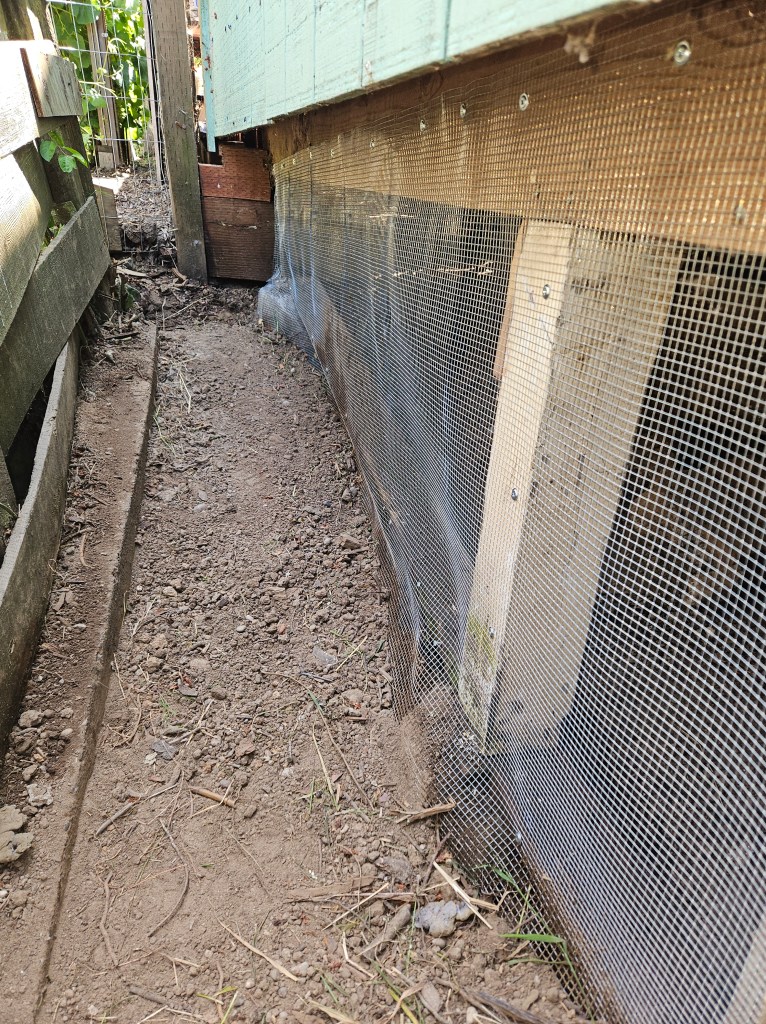 Trenched down and added mesh to side of deck.