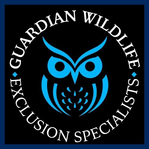 Guardian Wildlife Exclusion Specialists logo